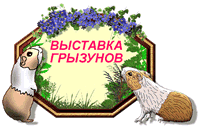 Выставка грызунов. В г.Н.Новгороде с экспертизой